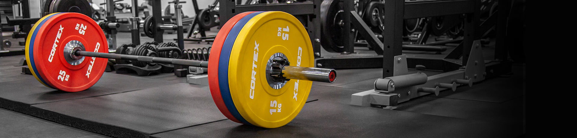 Olympic Bars & Weight Plates