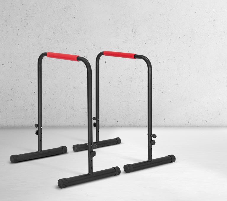 Parallel Bars & Gym Rings