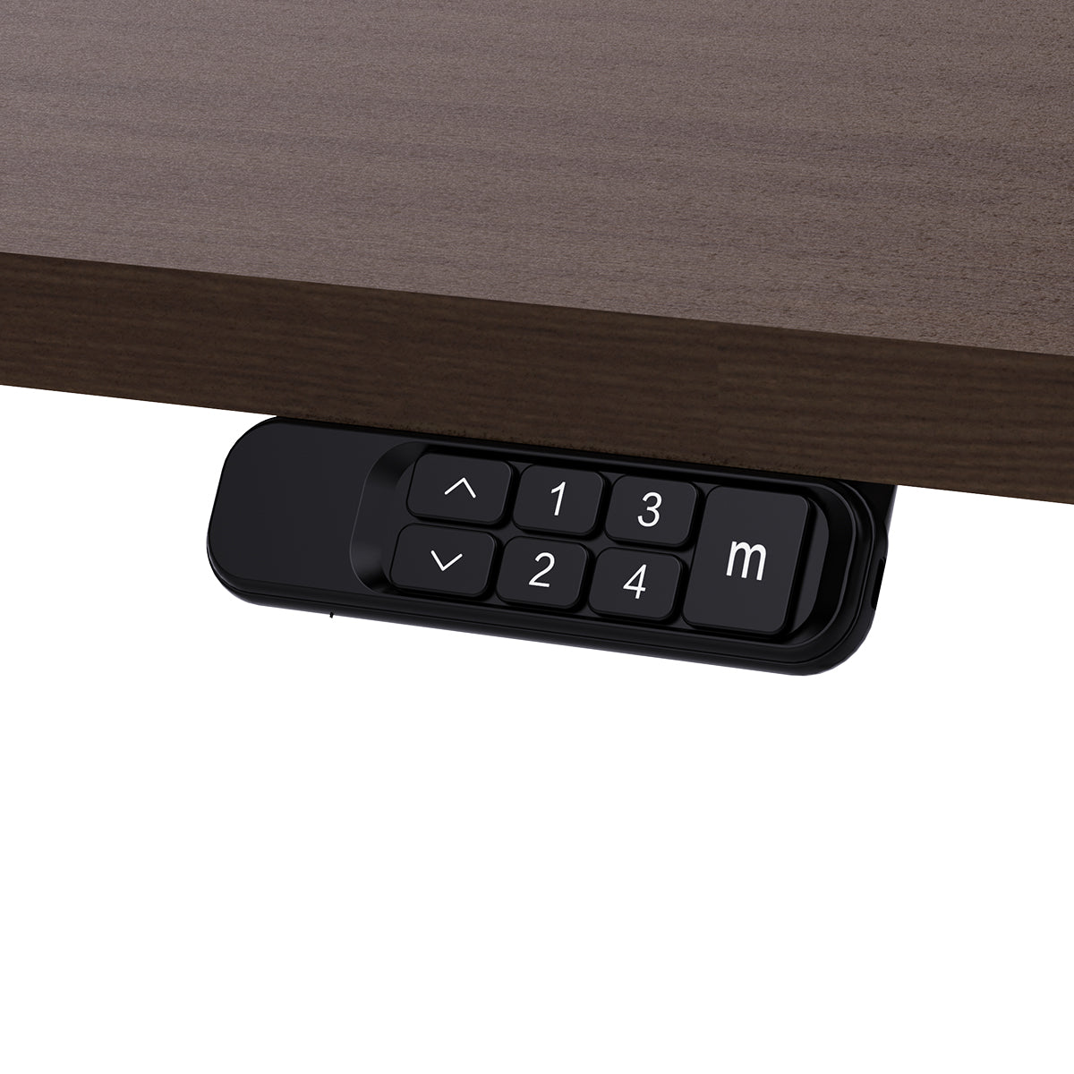 ErgoDesk Dual Motor Electric Standing Desk 160cm (Walnut/Black)