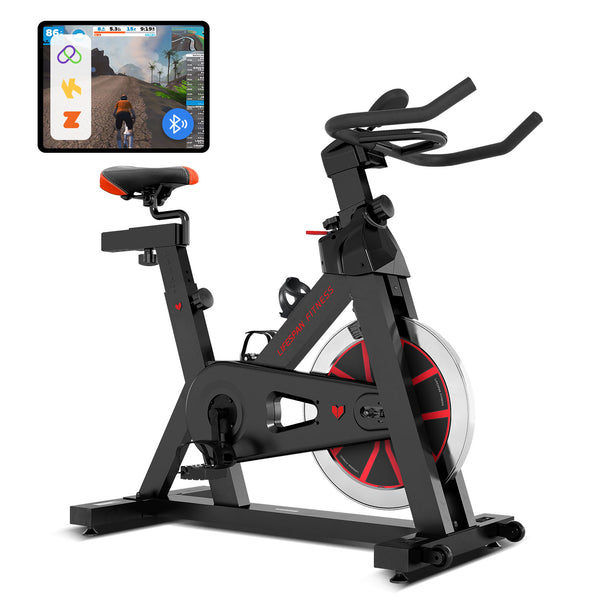 SP-310 (M2) Spin Bike