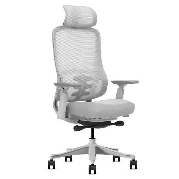 DM8 Ergonomic Office Desk Chair (White/Grey)