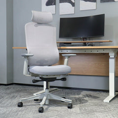 DM8 Ergonomic Office Desk Chair (White/Grey)