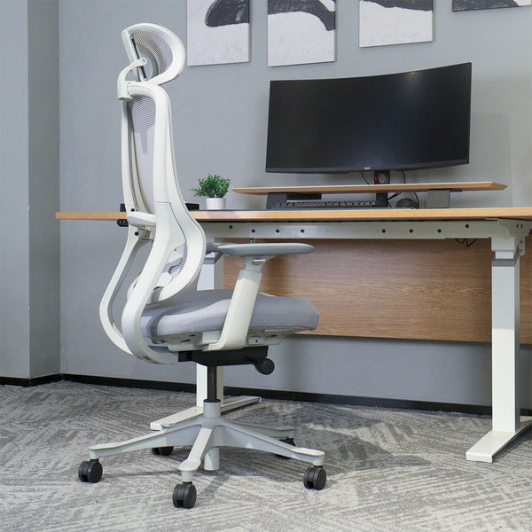 DM8 Ergonomic Office Desk Chair (White/Grey)
