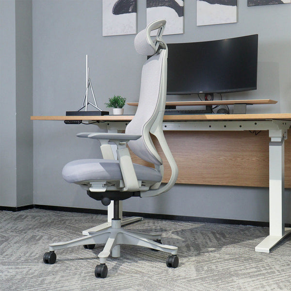 DM8 Ergonomic Office Desk Chair (White/Grey)