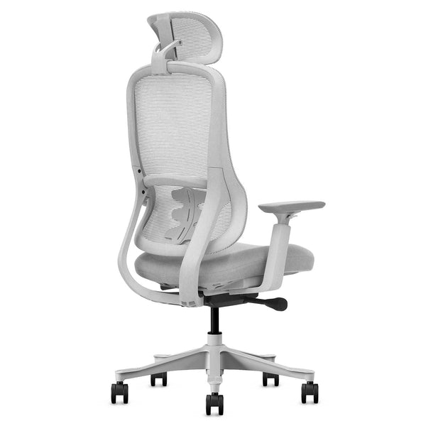 DM8 Ergonomic Office Desk Chair (White/Grey)