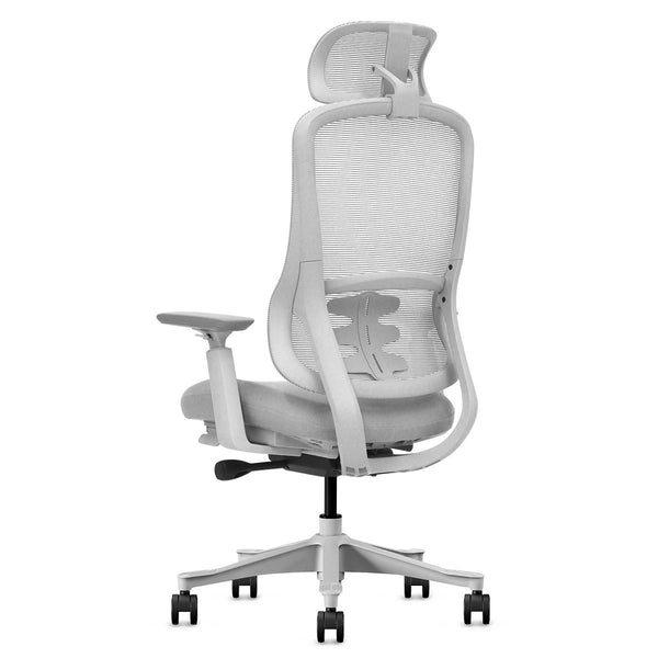 DM8 Ergonomic Office Desk Chair (White/Grey)