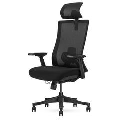 DM9 Ergonomic Mesh High Back Office Chair