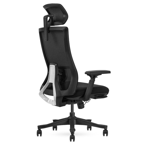 DM9 Ergonomic Mesh High Back Office Chair