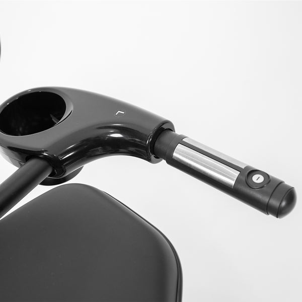 RBX-110 Commercial Recumbent Bike