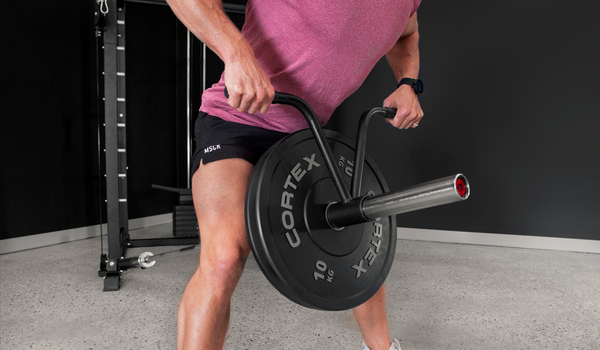 Standard vs Olympic Weight Plates What is the Difference Lifespan Fitness