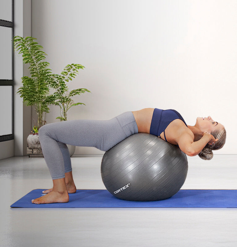 Exercise Balls | Lifespan Fitness