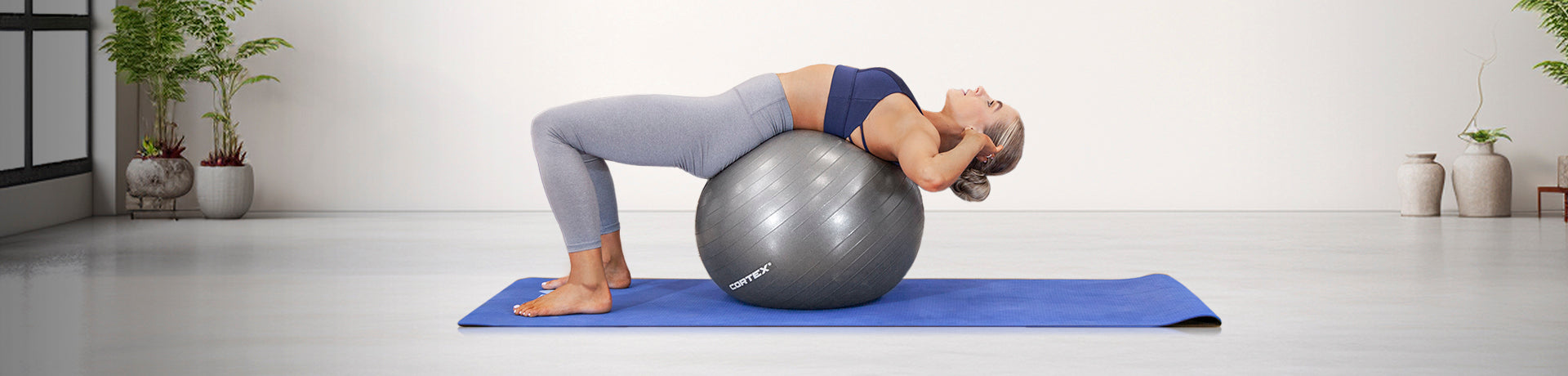 Exercise Balls