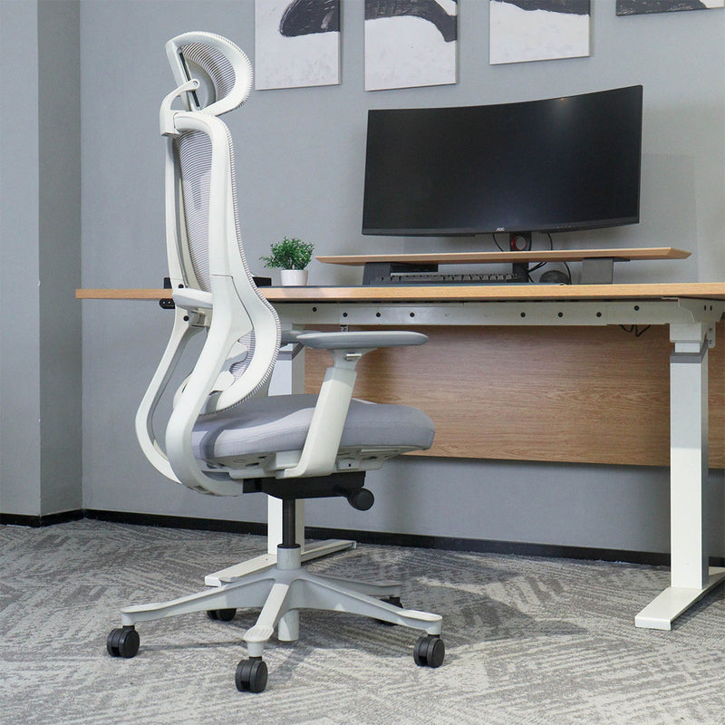 DM8 Ergonomic Office Desk Chair (White/Grey)