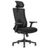 DM9 Ergonomic Mesh High Back Office Chair